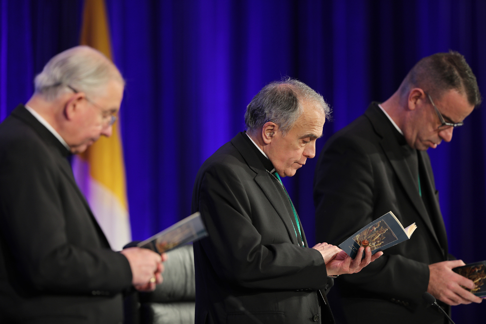 Amateur Hour At The Bishops' Conference | National Catholic Reporter